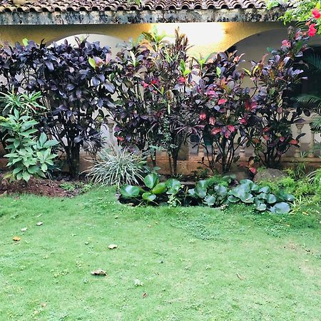 Silent Waters Resorts Yelagiri Exteriér fotografie