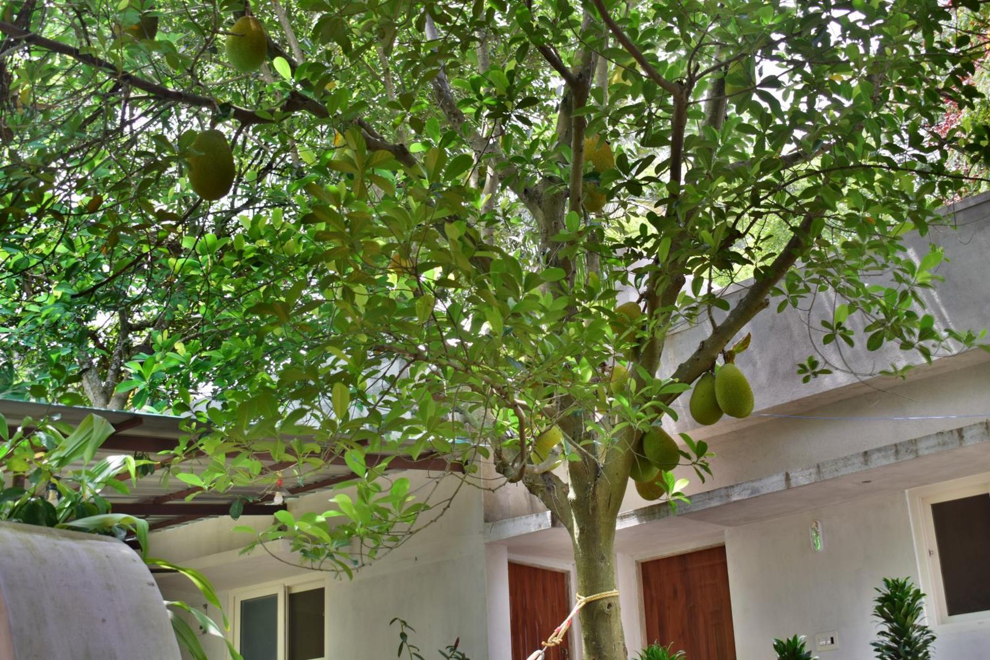 Silent Waters Resorts Yelagiri Exteriér fotografie