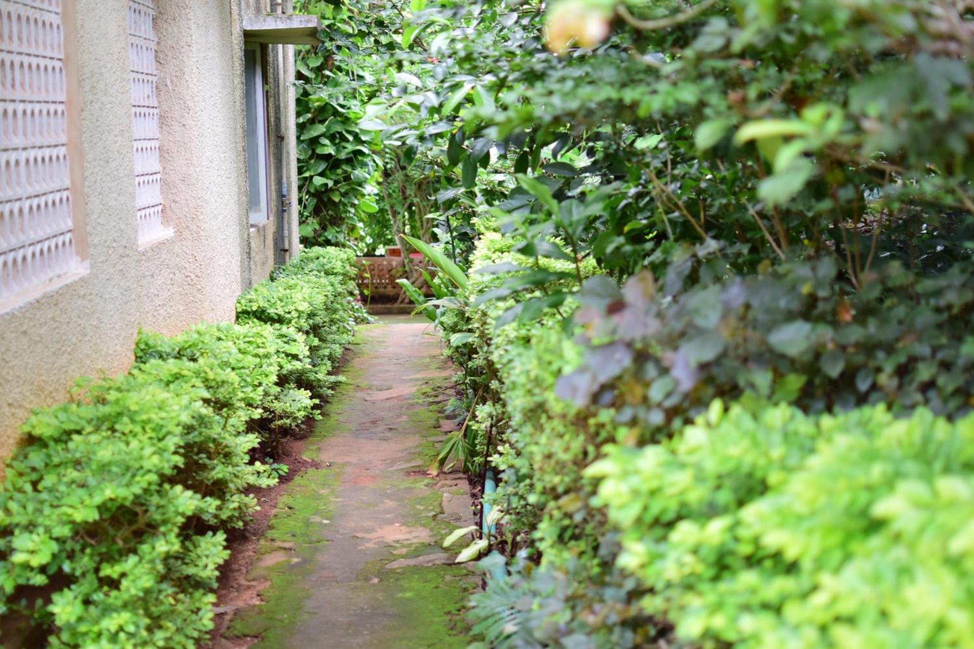 Silent Waters Resorts Yelagiri Exteriér fotografie