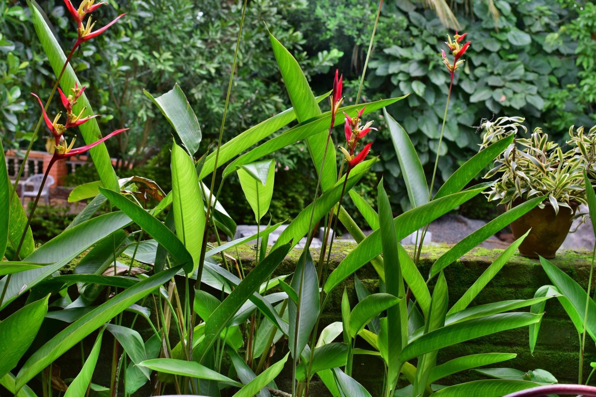Silent Waters Resorts Yelagiri Exteriér fotografie