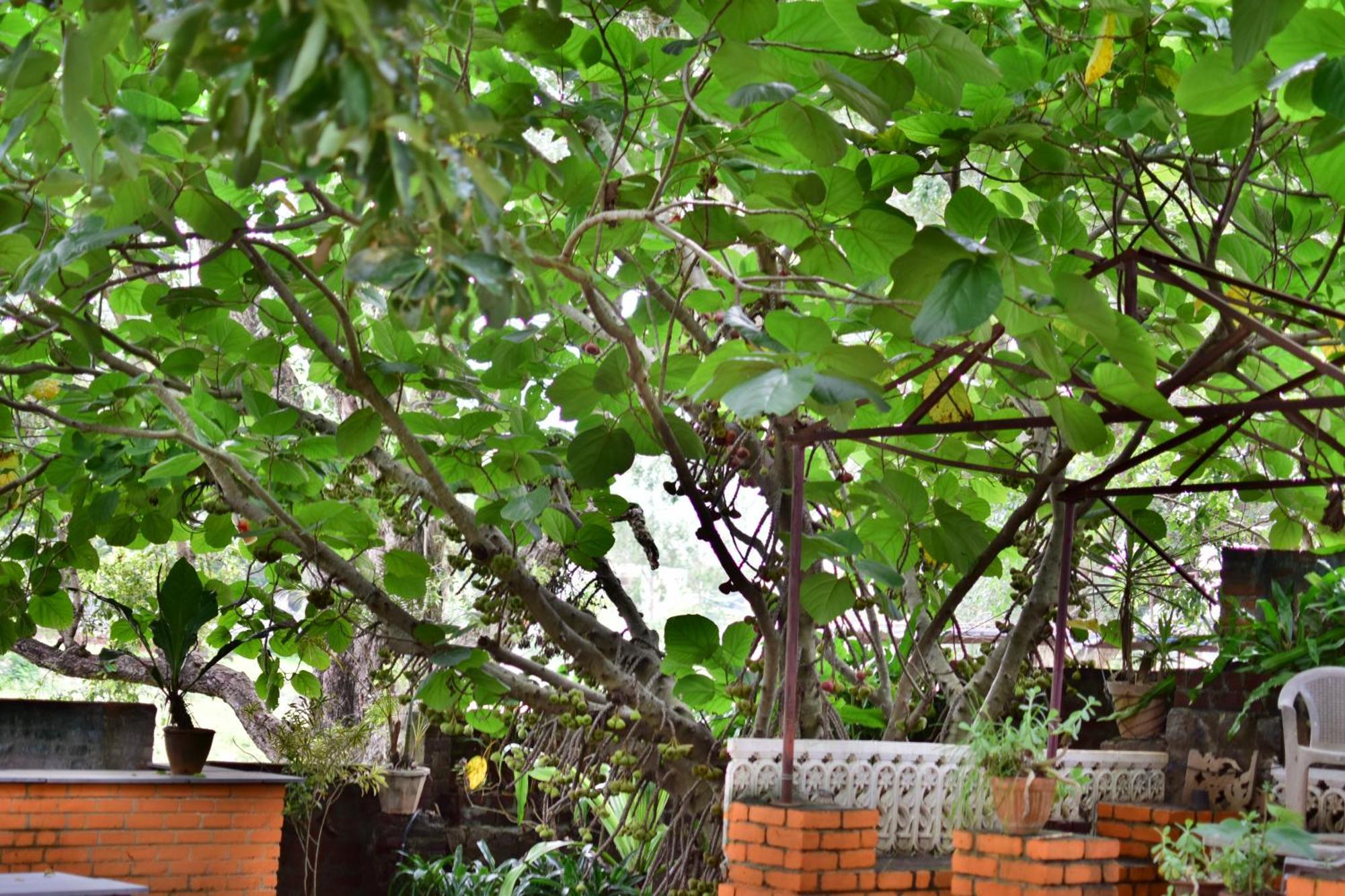 Silent Waters Resorts Yelagiri Exteriér fotografie