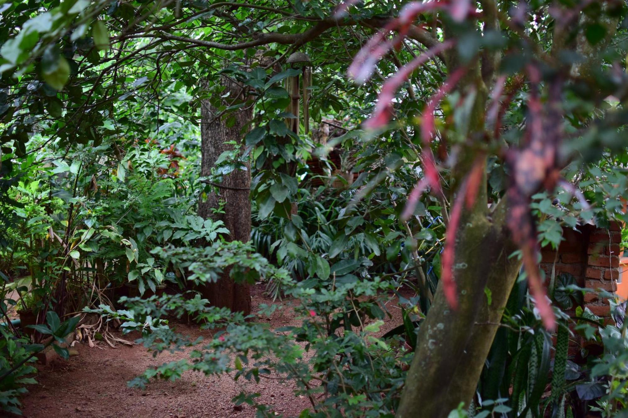 Silent Waters Resorts Yelagiri Exteriér fotografie